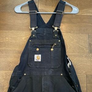 Carhartt bibs insulated